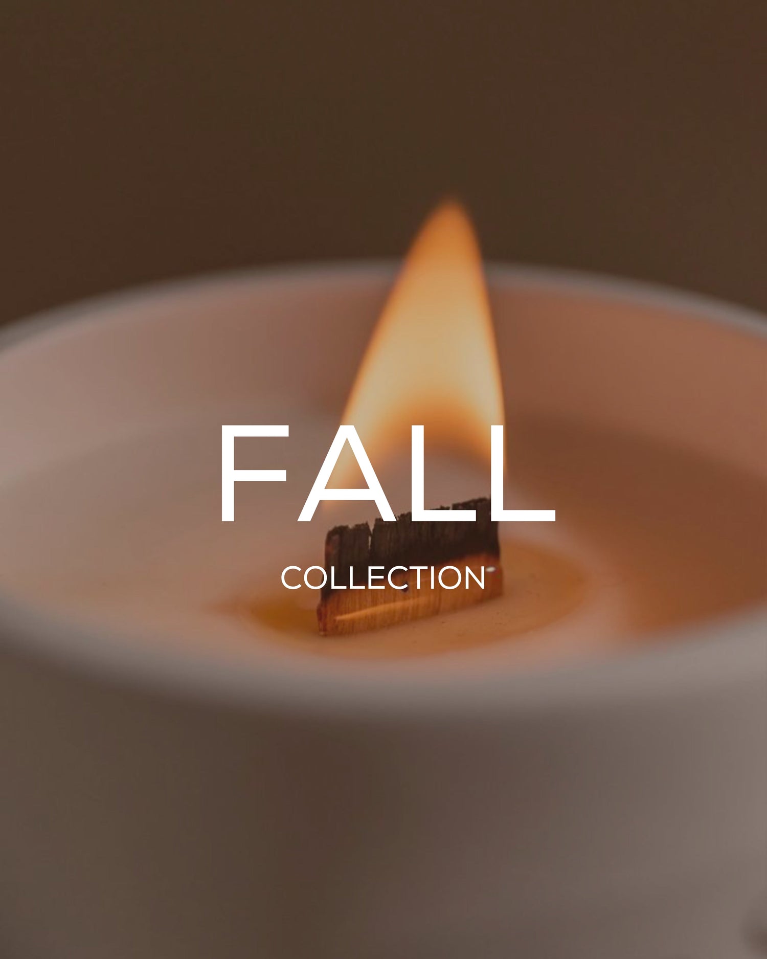 Fall Collection