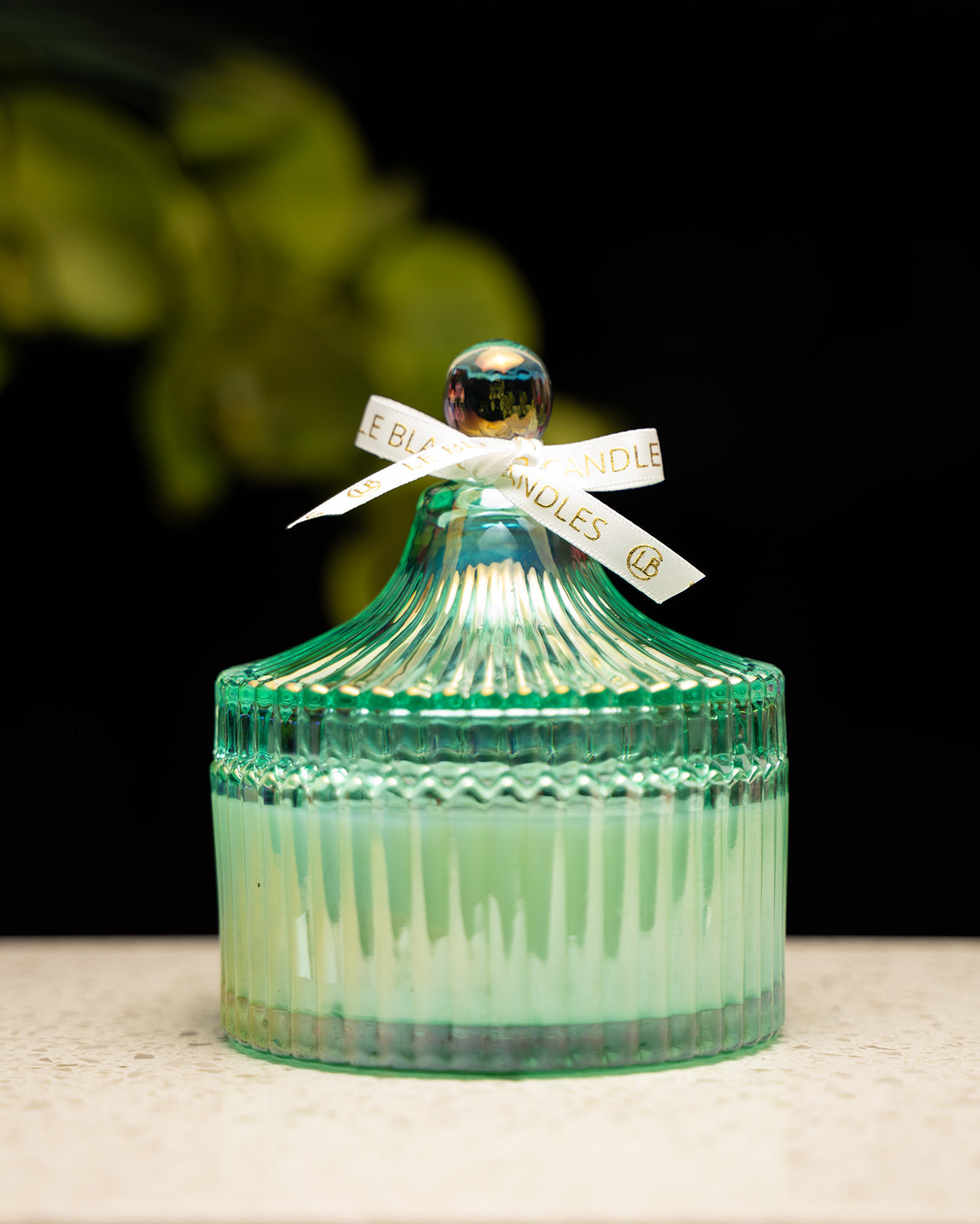 Summer Collection - Classic Coastal Bloom Candle