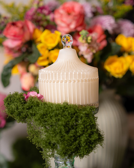 Luxury Spring Candle Collection- Vanilla Silk