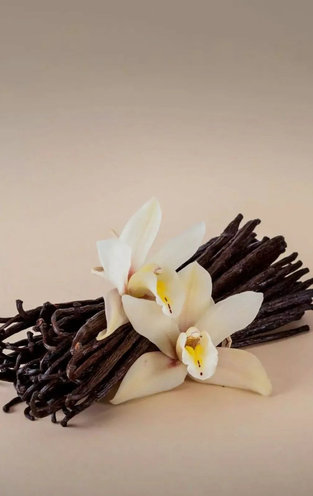 Cashmere Vanilla