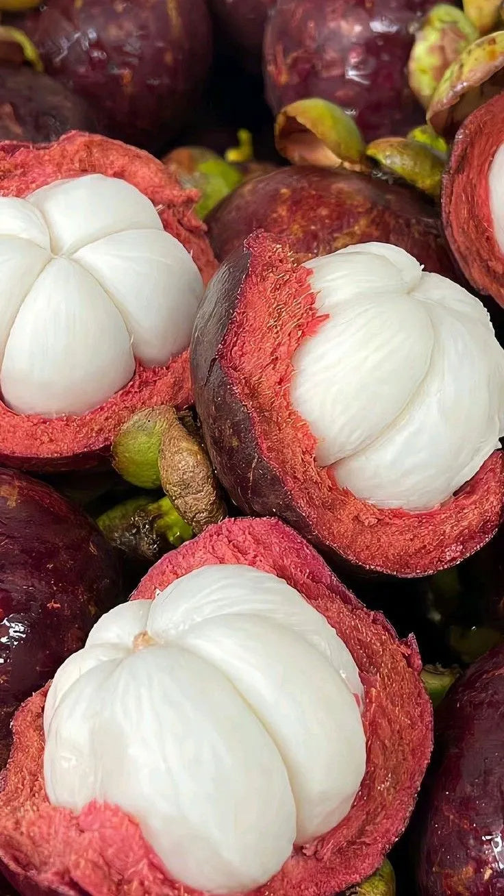 Grapefruit Mangosteen