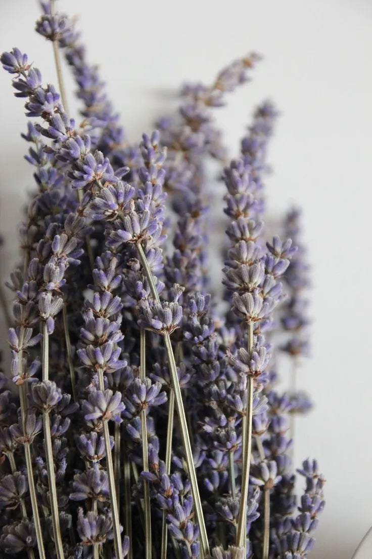 White Sage Lavender